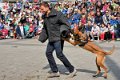 Polizeishow   055